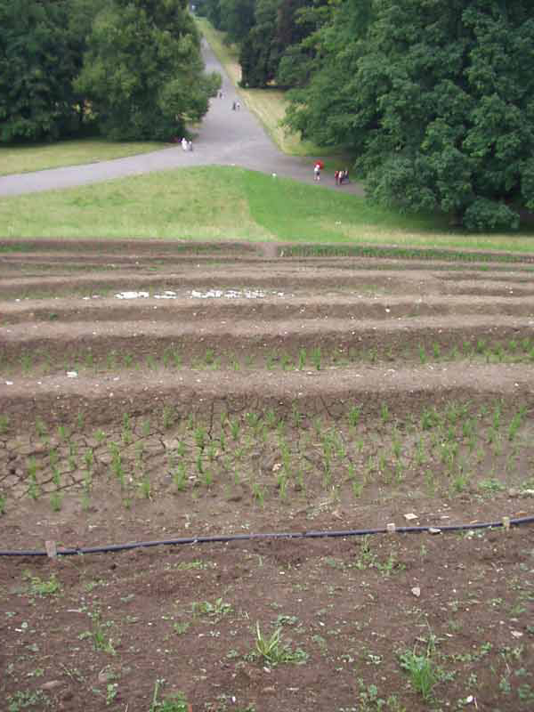 Kunstletter Documenta 13 Teil 3 3