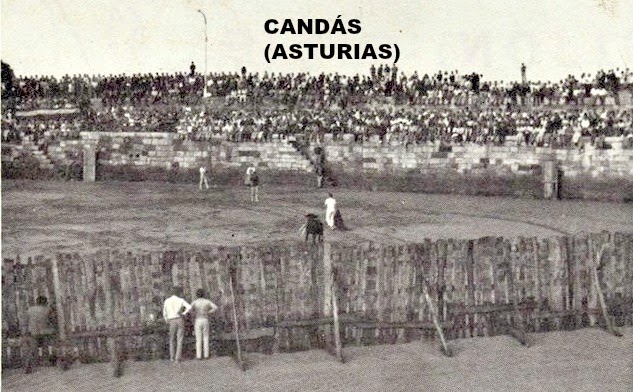 CANDÁS TOROS