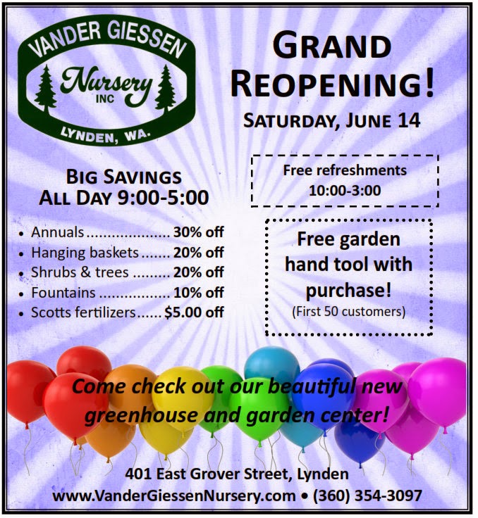 Riddim Groove Riddim Groove At Gebaude 9