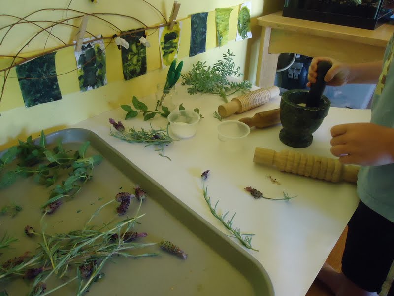 Beansprouts Preschool Blog Aromatherapy in the classroom