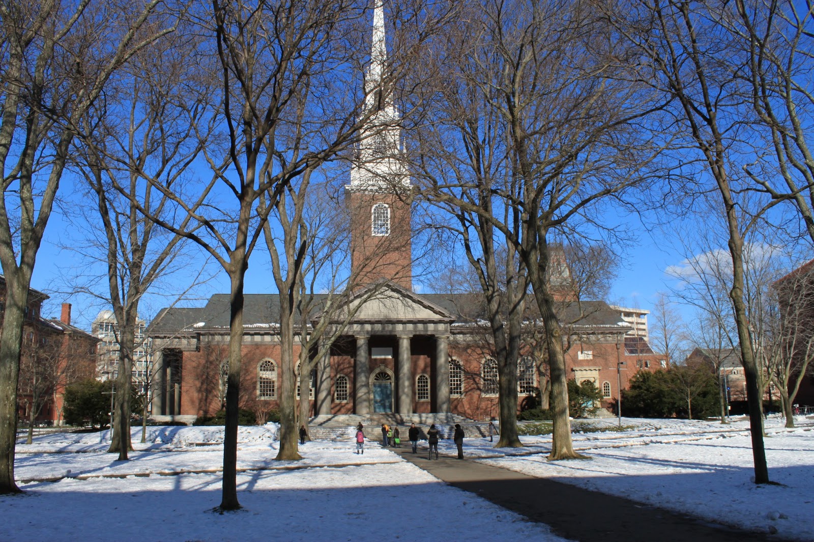 A Lady in Boston A Winter Stroll Past Harvard