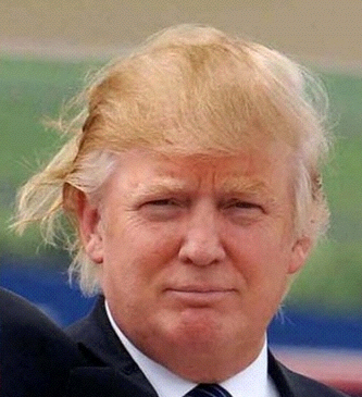 donald trump for president pics. Donald Trump for President
