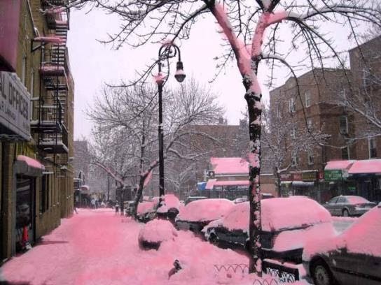 nieve rosa watermelon snow