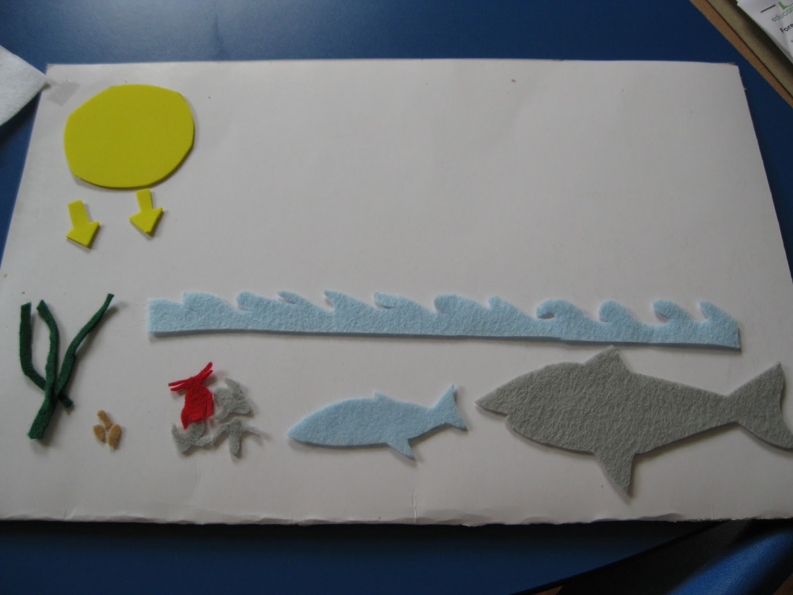 Solagratiamom Year 2 Week 3 Crusades and Food Chain Project