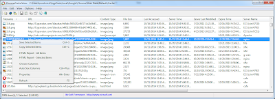 See the Content of Google Chrome Cache Folder See the Content of Google Chrome Cache Folder