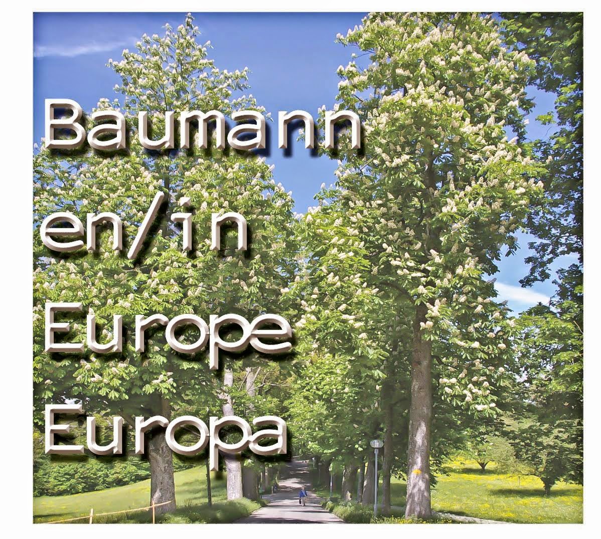 Bauman en/in Europa