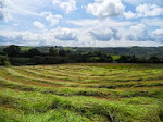 The Hay is Cut