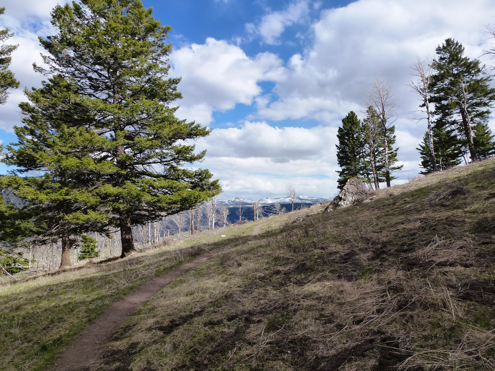 Brian and Ashley's Hiking Blog! Beaver Ponds Trail (Yellowstone