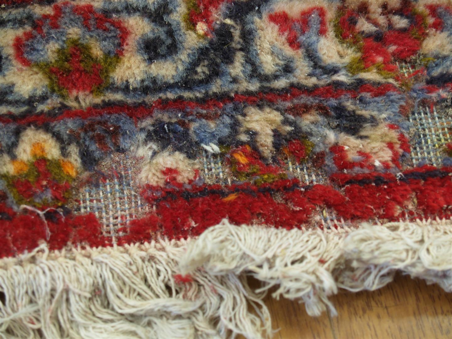 Rug Master Moth Season Is Upon Us!