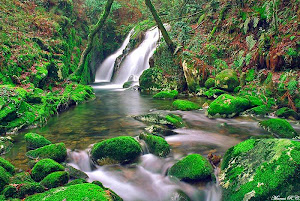 imagen del bierzo