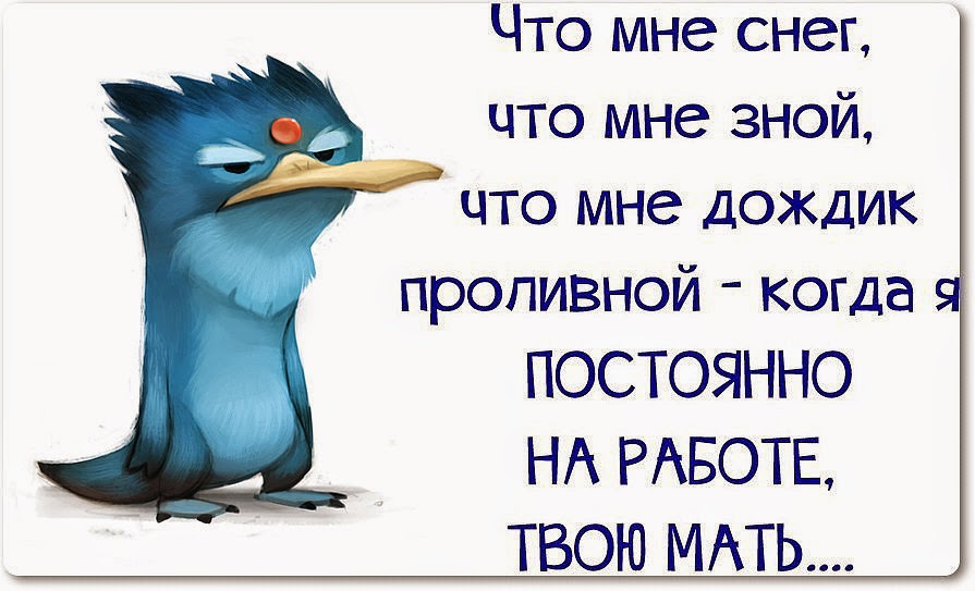 Картинки по запросу прикольные картинки плохая погода