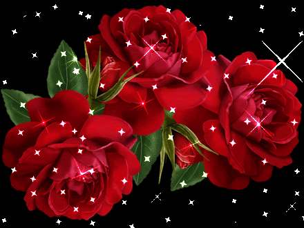 imagenesde rosas