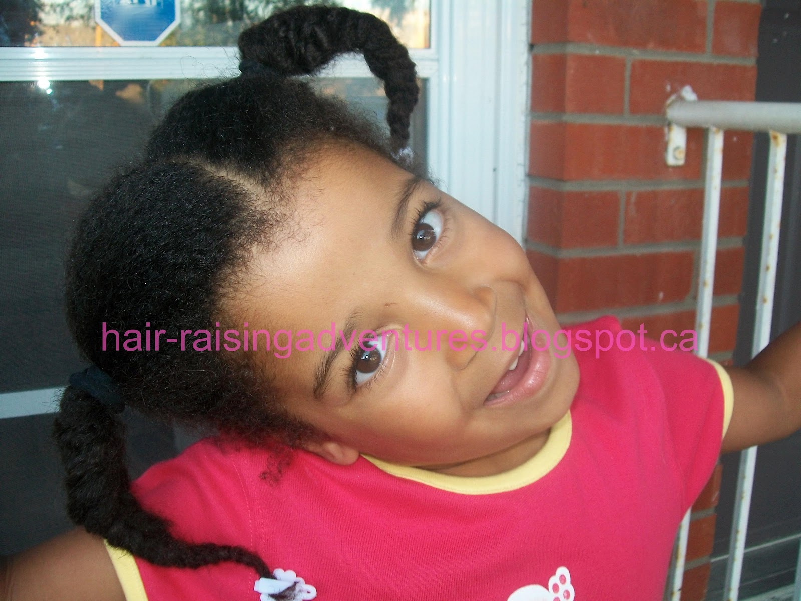 Hair Raising Adventures July Copy Cat Carnival Fishtail Braids