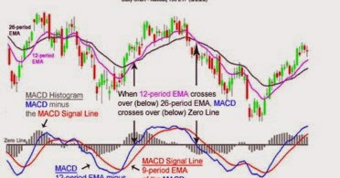 Teknik dinapoli forex