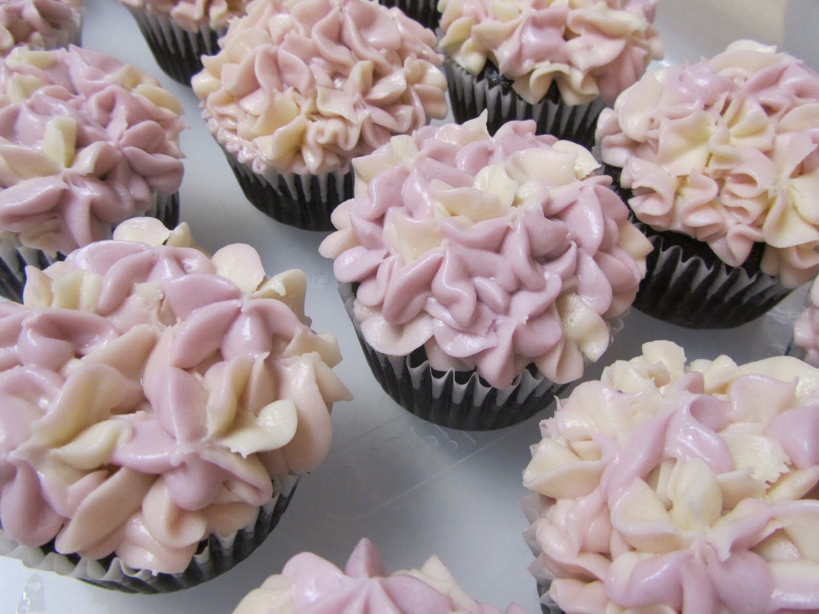 Buttercream Hydrangea