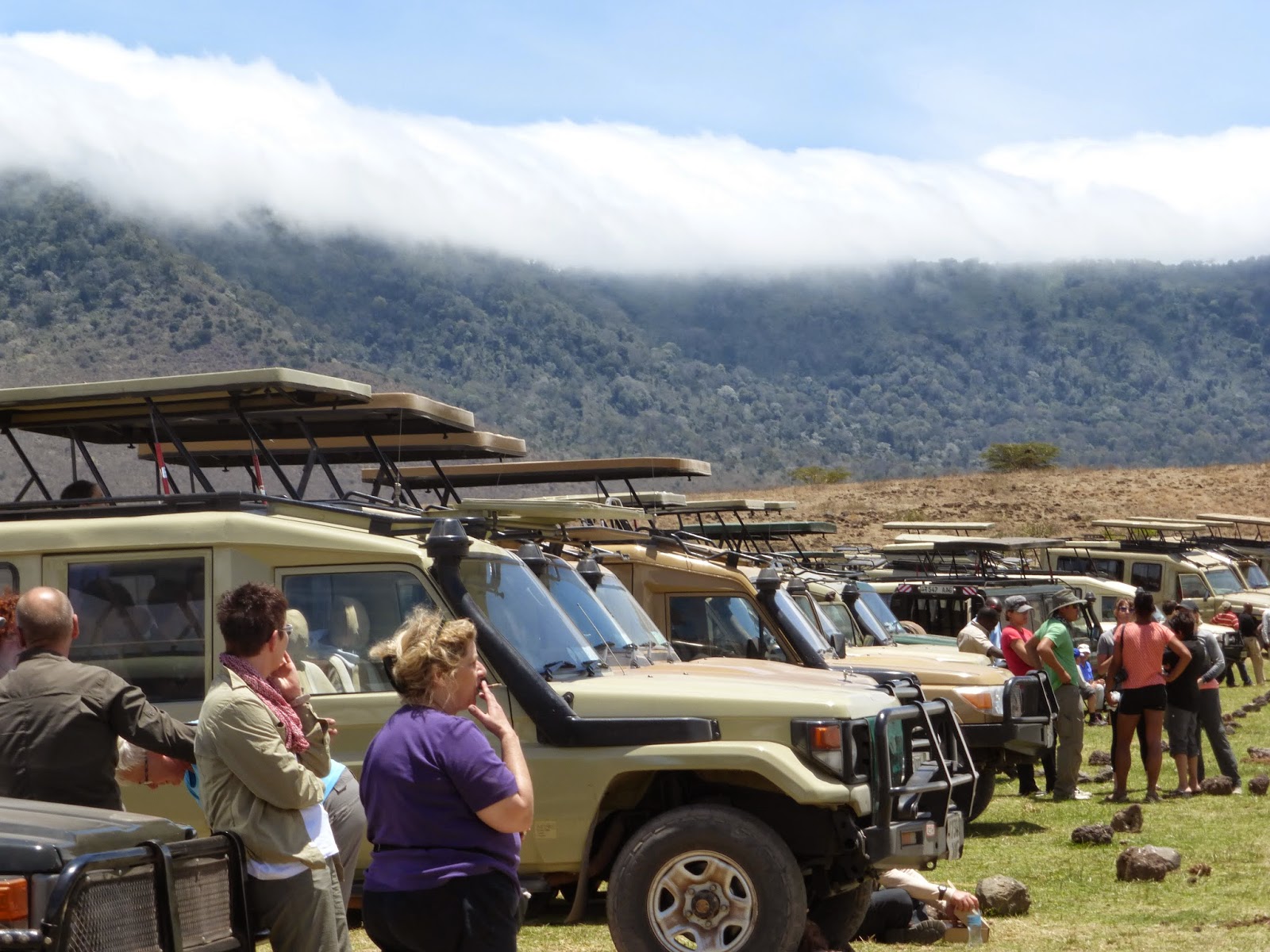 Safari companies in Tanzania