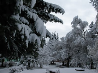 Վանաձոր ապրիլյան ձմեռ