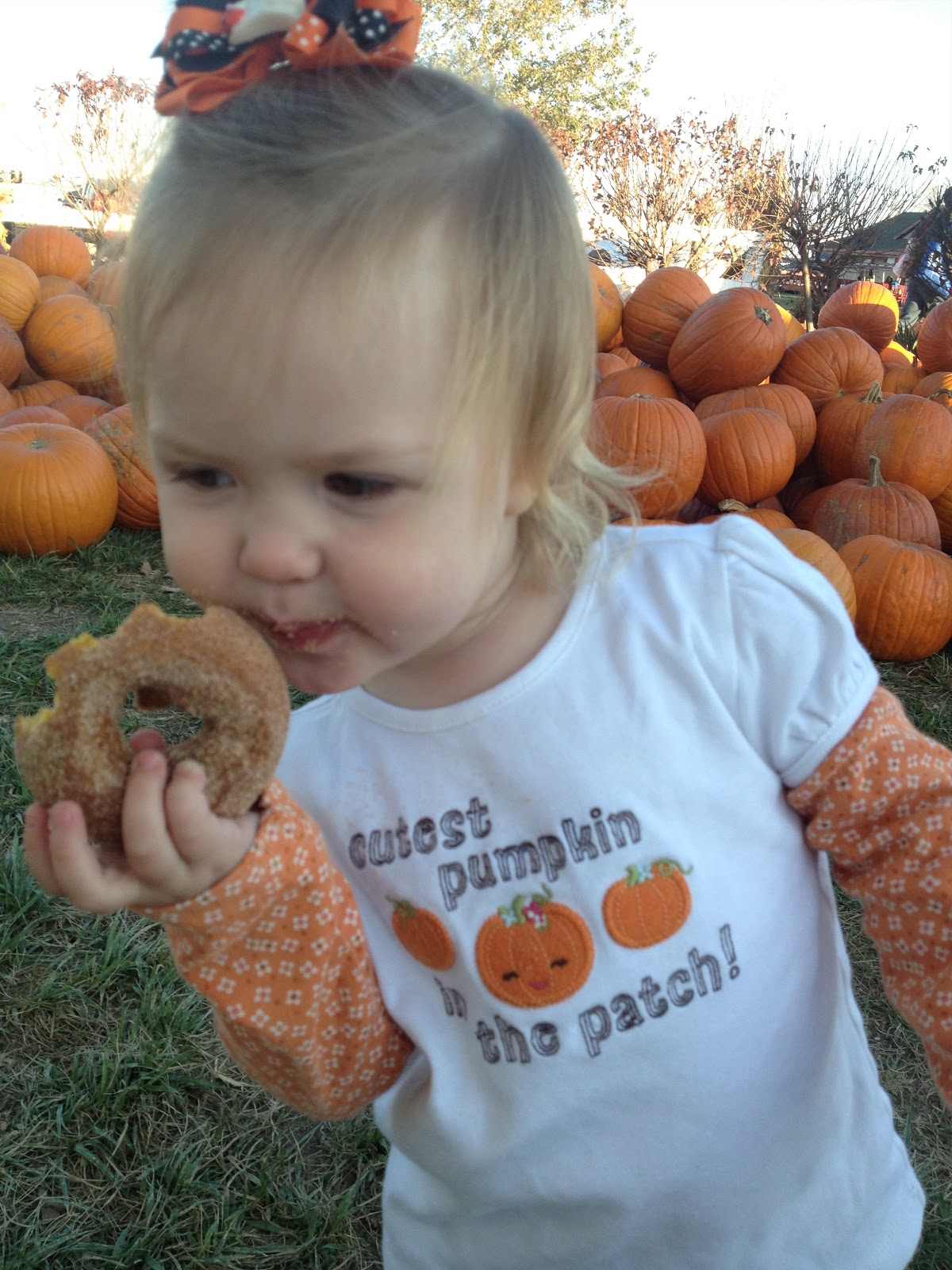 Pretty Bows and Superheroes Carolyn's Country Cousins Pumpkin Patch