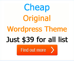 Cheap Wordpress Theme