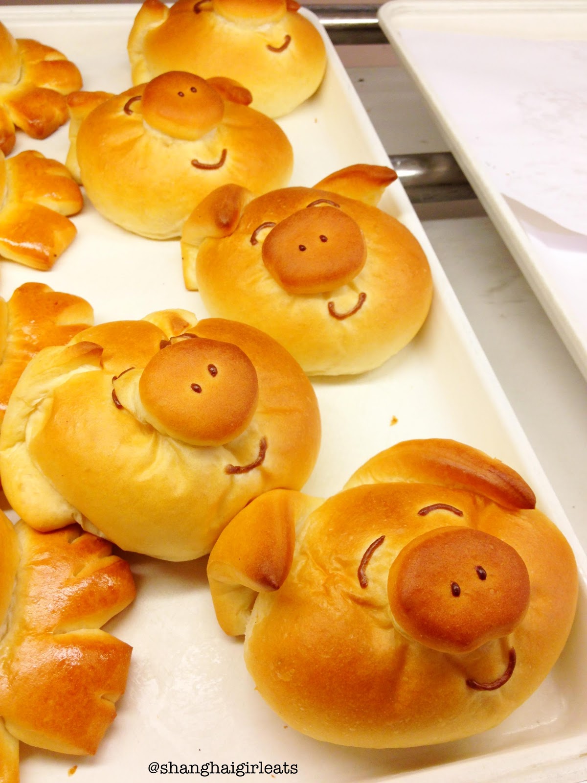 [Novi] Pastry House Hippo