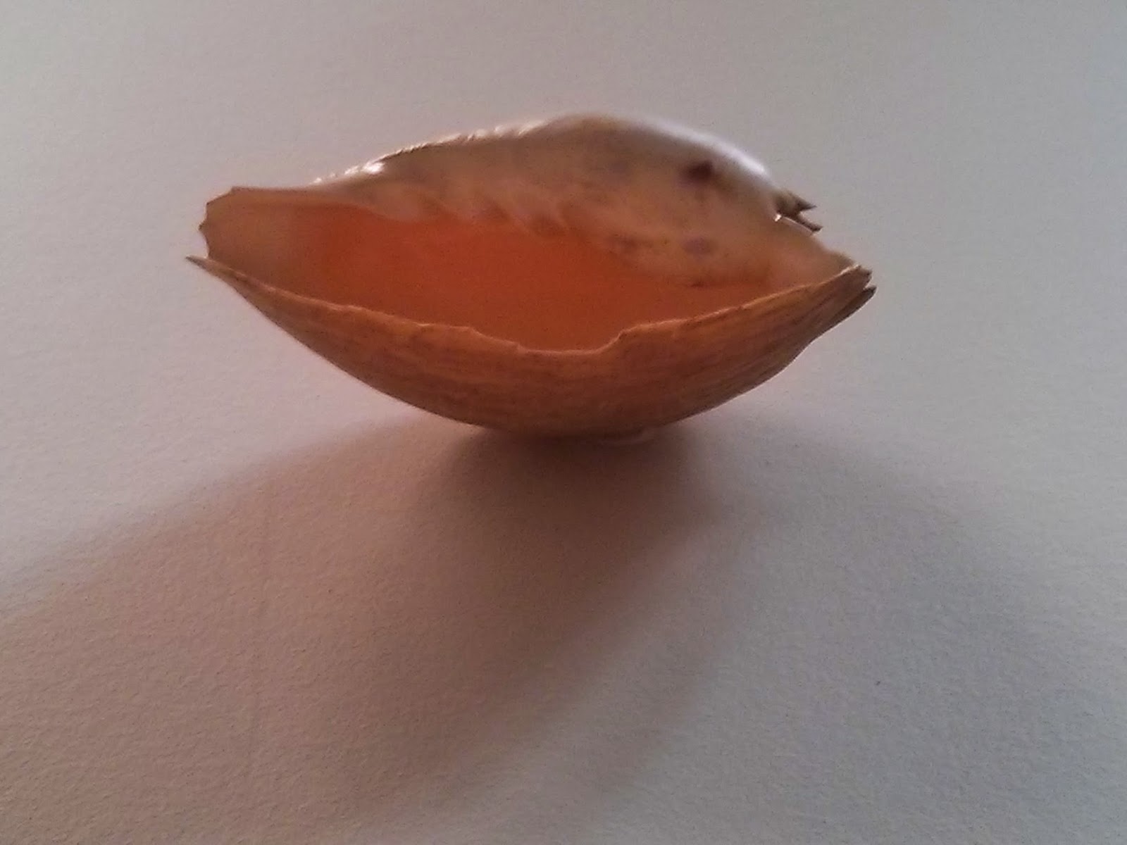 Aktuelle Informationen Weinerlebnisland Sachsen