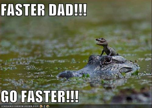 free funny photoS: funny crocodiles free funny photoS: funny crocodiles