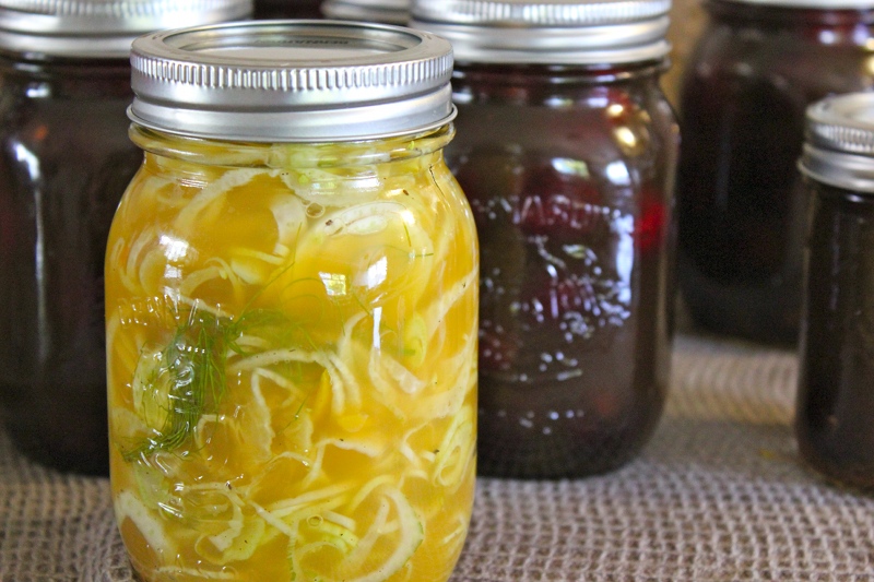 Taste Buds Pickled Fennel with Orange
