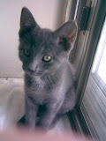 Smokey Behr, March 2008