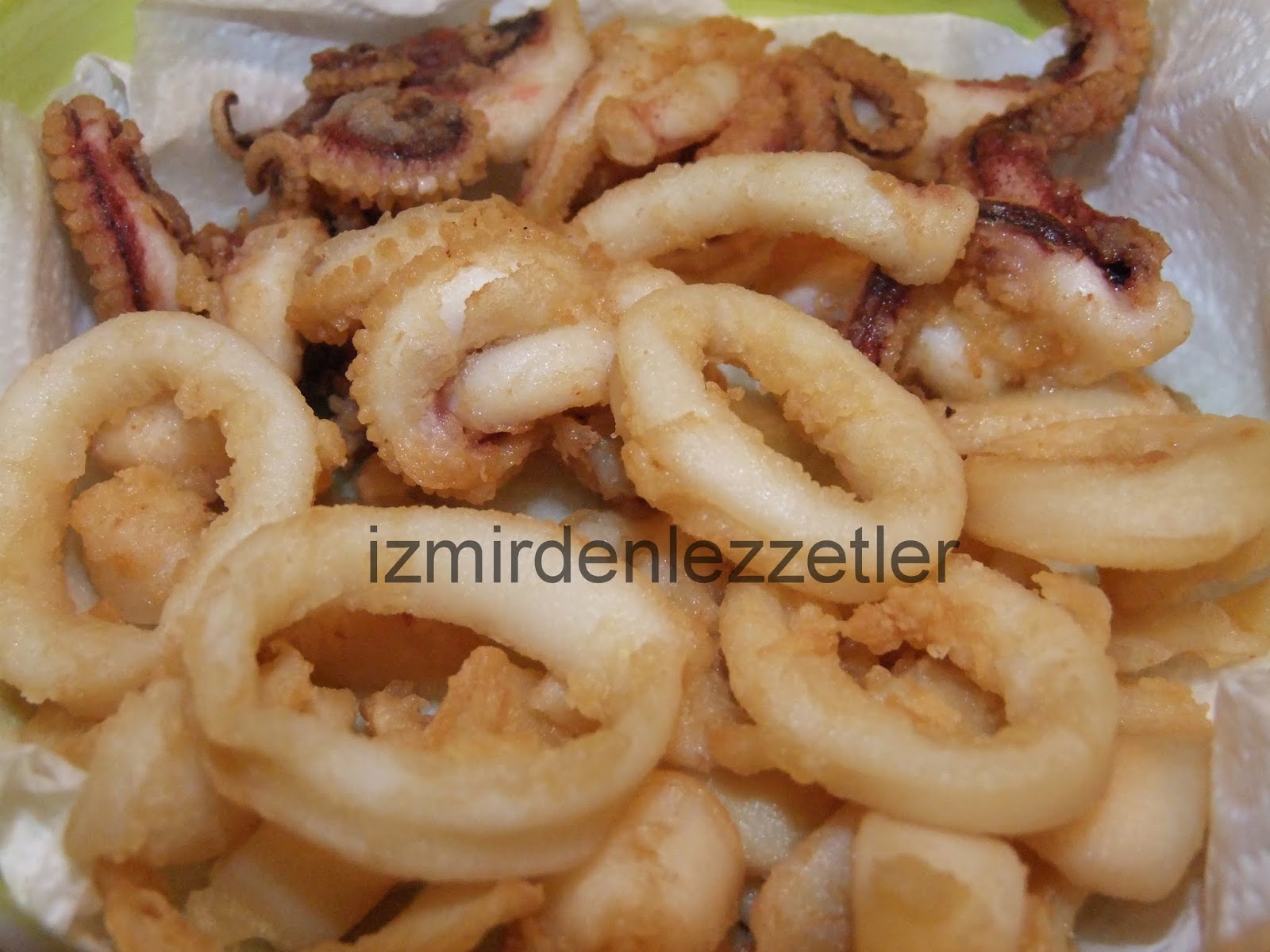 فتن عظم تنافس halka kalamar tarifi mainerootsblog com فتن عظم تنافس halka kalamar tarifi mainerootsblog com