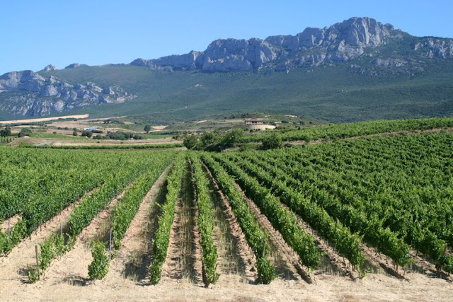 The+world%27s+top+10+wine+destinations-rioja-spain-The+world%27s+top+10+wine+destinations.jpg