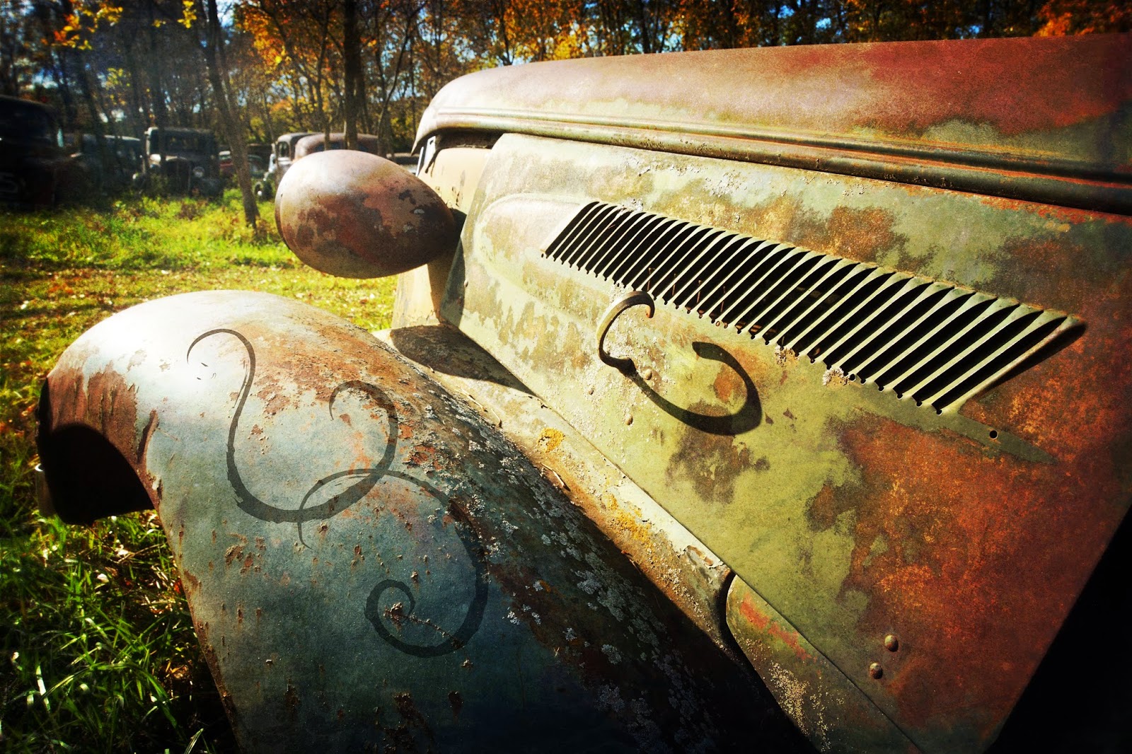 Litonya Knelsen - Darting H-Bird: Blog