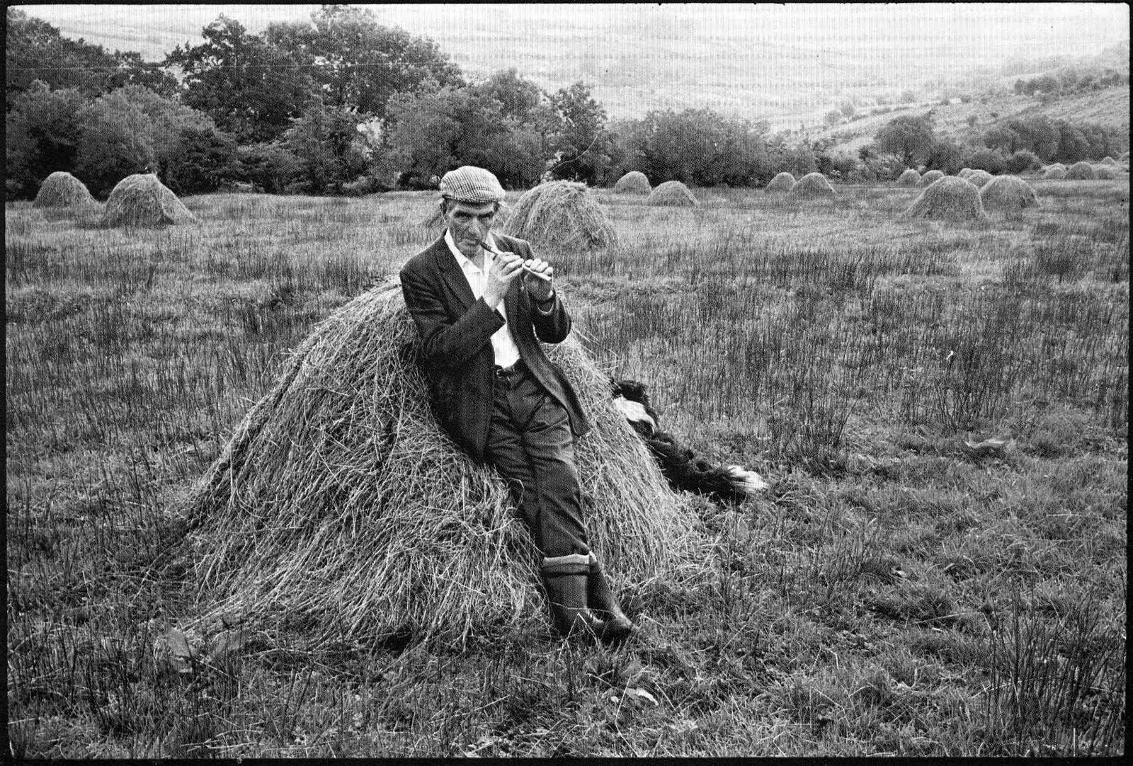 Jill Freedman Photography