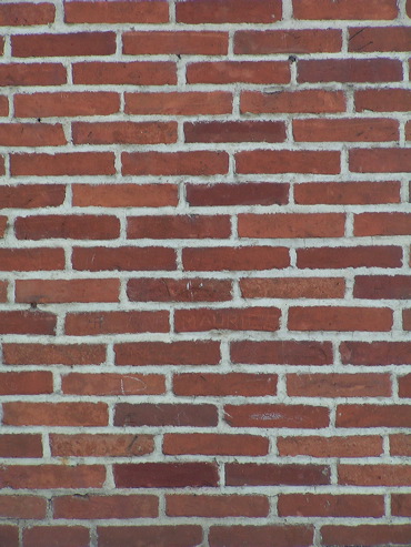 écologie - Page 2 Mur_de_briques