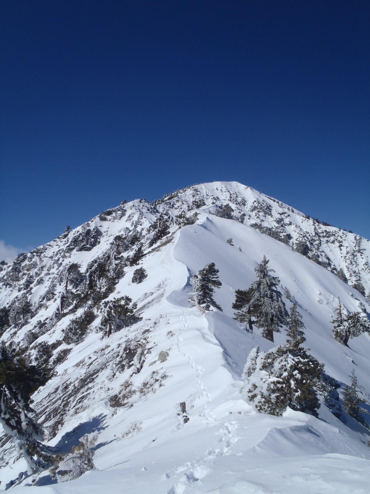 The Pursuit of Life Winter Ascent of Mt Baldy via Maker Creek Route
