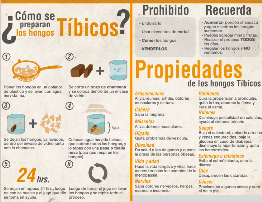 Infografía Hongos Tibetanos Tibicos Infografía Hongos Tibetanos Tibicos