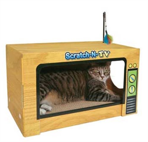 Amazon Cat Scratcher Houses Amazon Cat Scratcher Houses