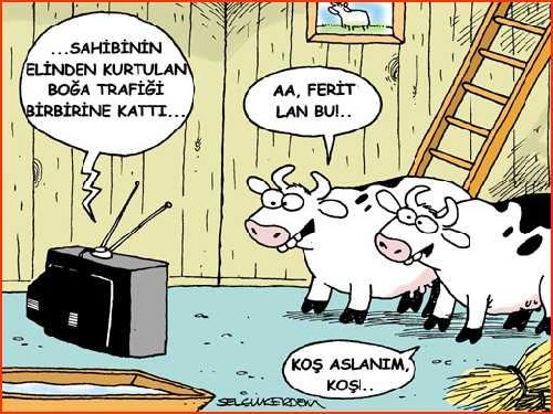 2015 tesettur modasi 2015 ilkbahar yaz modasi tesettur 2015 modasi basen eritme moda 2015 kurban bayrami ne zaman 2011 kurban bayrami tarihleri 2011 kurban bayrami tatil gunleri kurban bayrami ne zaman kutlanacak 2011 kurban bayrami kasimin