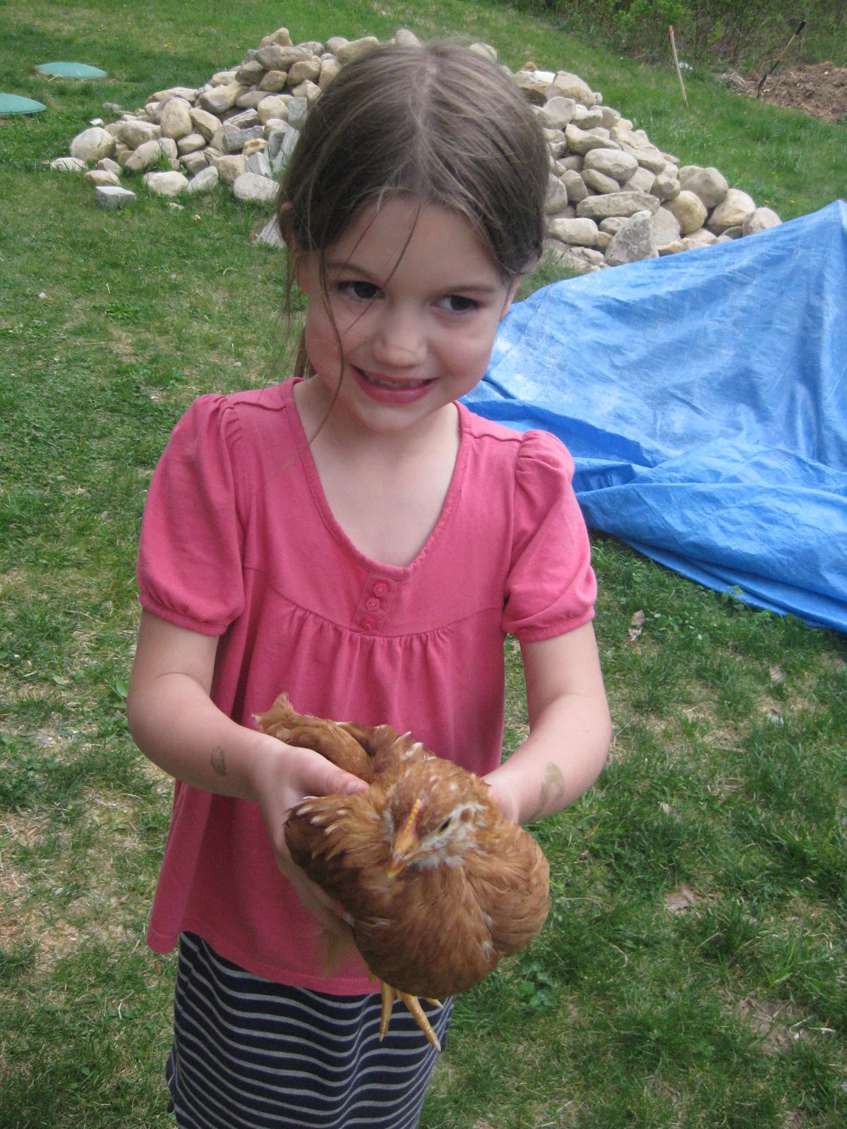 Stone Soup...The Miller Family The chicken coop