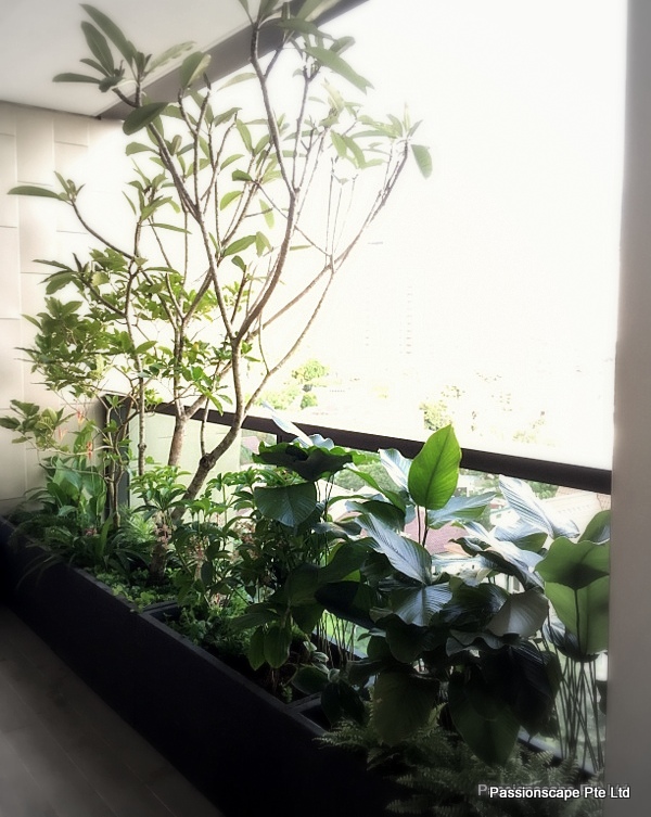 Balcony instyle 9 Singapore Landscape Design