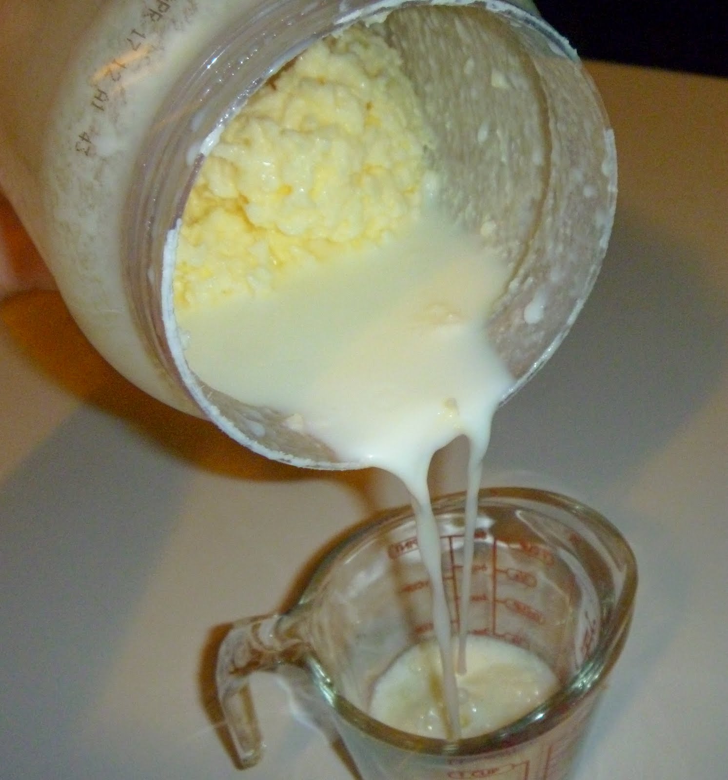 Sugar, Spice and Monkey Tales! Butter / buttermilk making 101