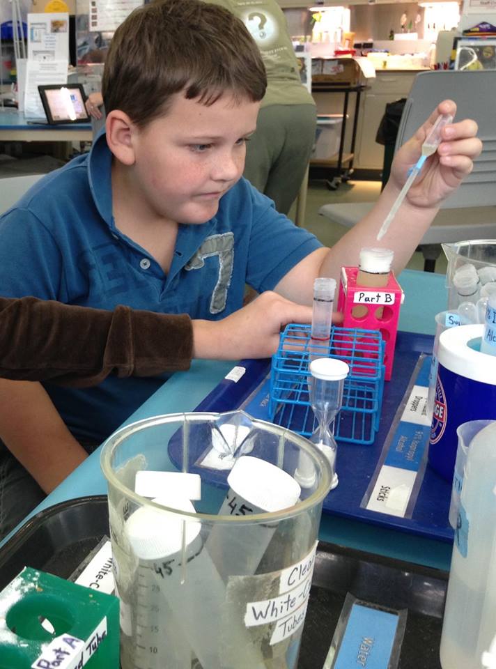 Trips 'n Toys Nature Research Center Raleigh, NC