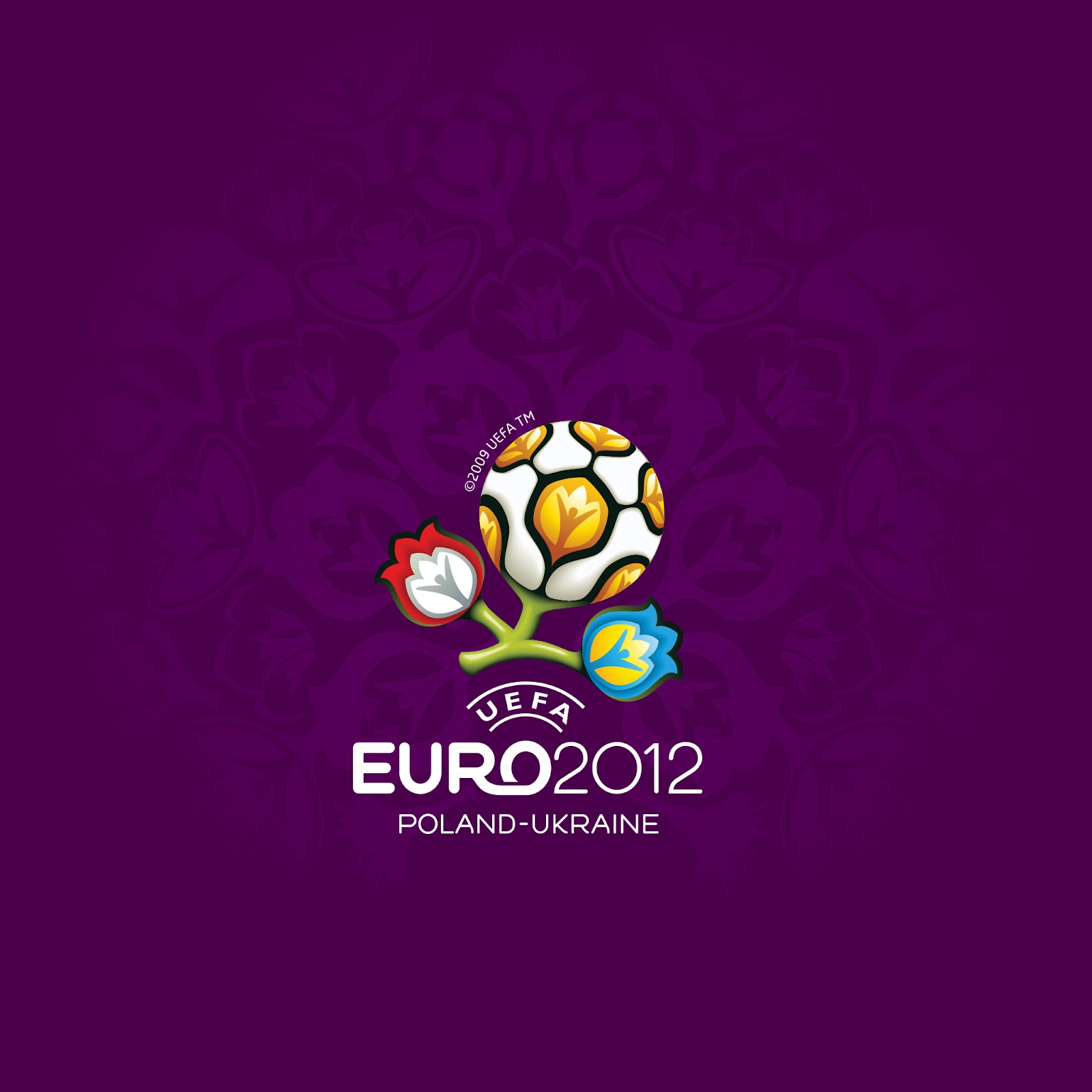 Euro2012_1_ZablokowanyEkran.jpg