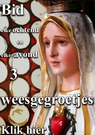 Bid elke ochtend en elke avond 3 weesgegroetjes   KLIK HIER