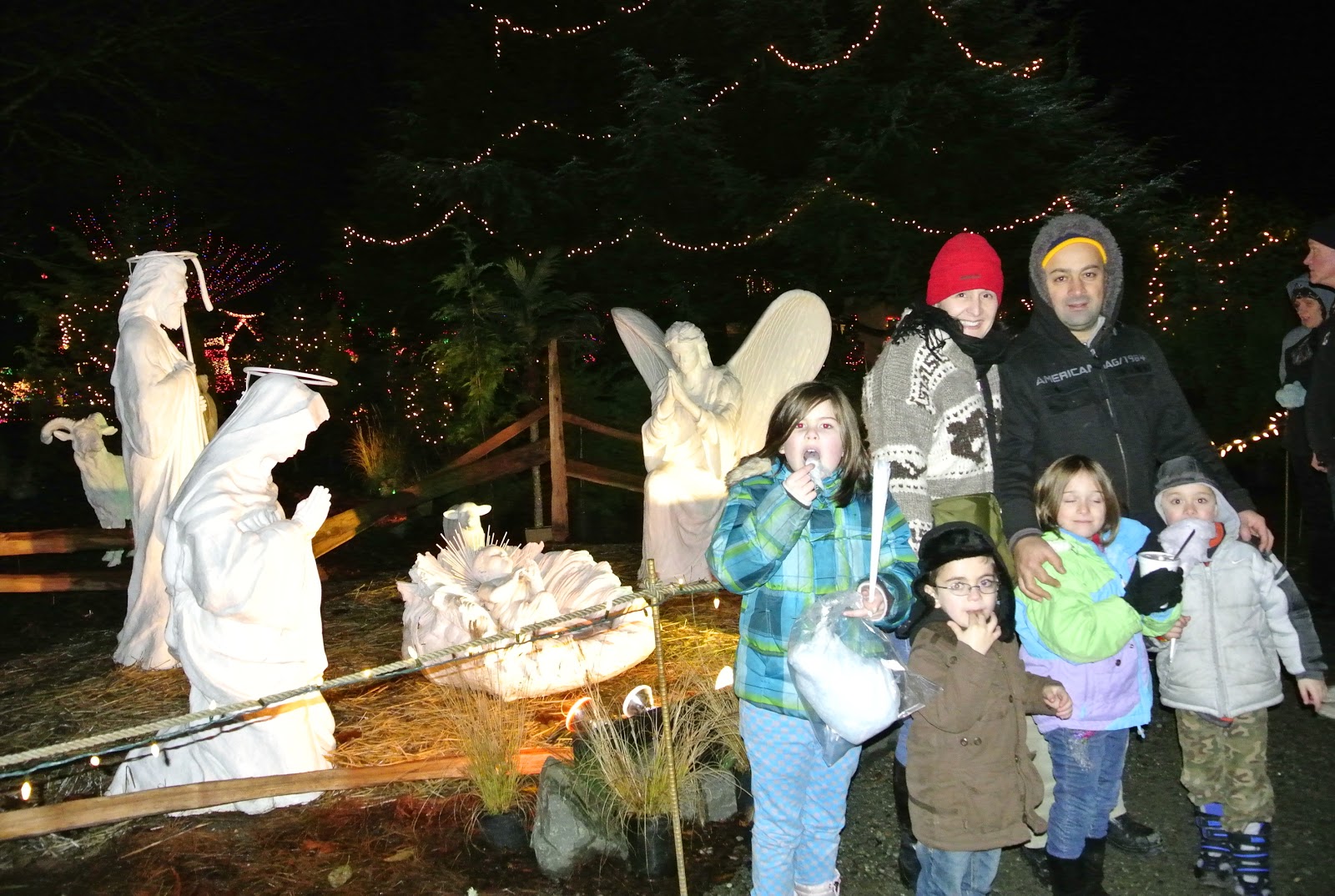 Bubu in Belltown Warm Beach Christmas Lights