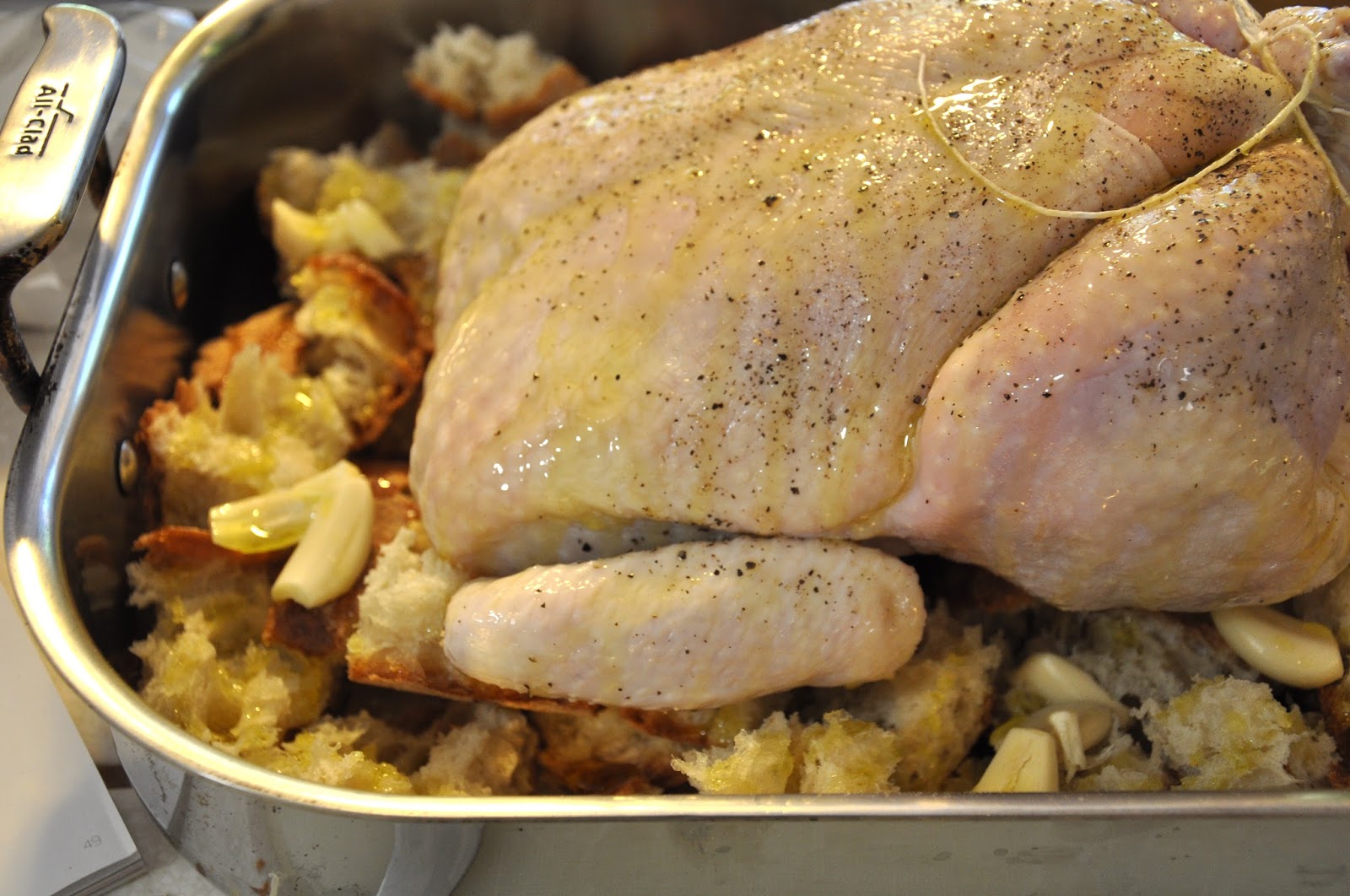 Gossamer Wings Jamie Oliver's Chicken Panzanella