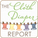 Theclothdiaperreport