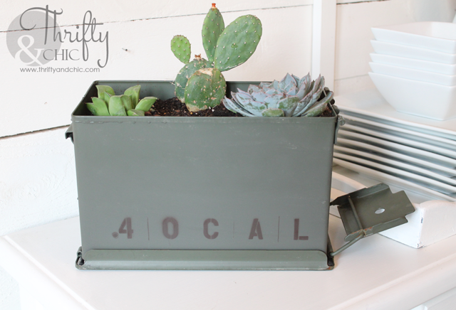 Use an ammo can as a planter for succulents! Great gift idea dads and men!