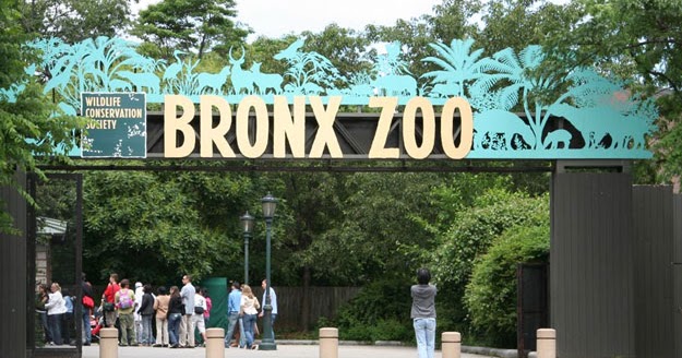 Bronx Zoo new york | review-hours-admission-hotels.:Choice Your Holiday