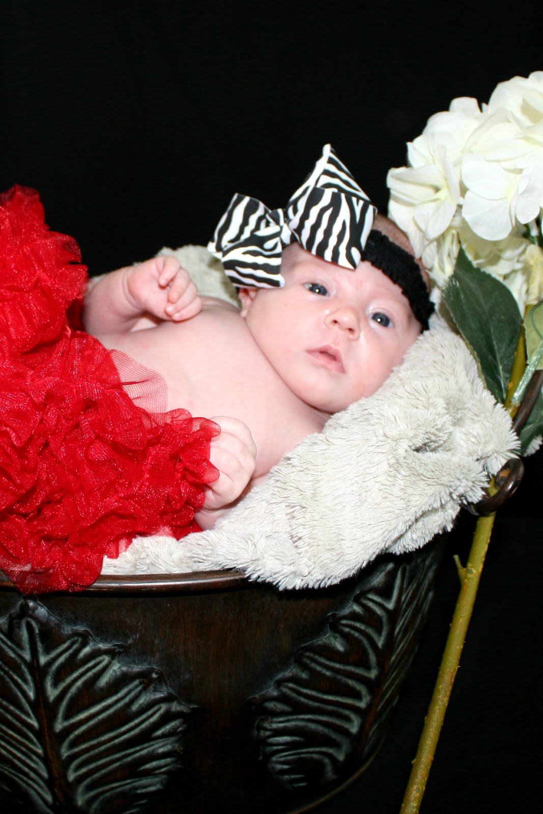 BEAUTY101BYLISA DIY At Home PROFESSIONAL NEWBORN PHOTO SHOOT