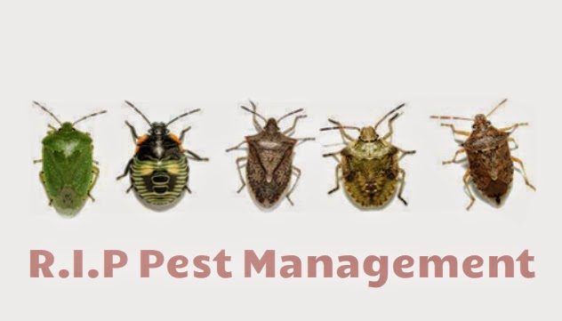 Pest Control North Shore Australia How To Keep The Stink Bugs